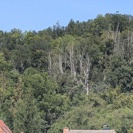 Ferienwohnung Mit Ausblick In Wimmelburg Luaran gambar