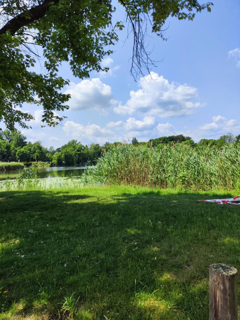 Ferienwohnung Mit Ausblick In Wimmelburg Luaran gambar